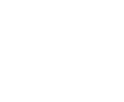Action-Icon