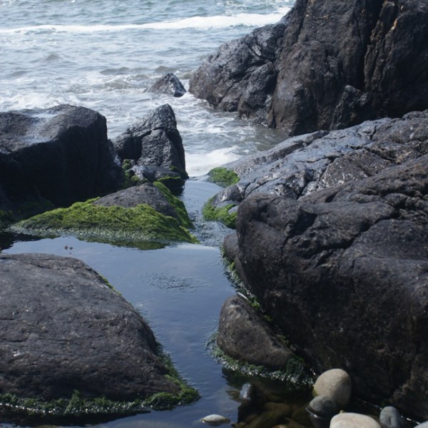 Coasteering in Northern Ireland